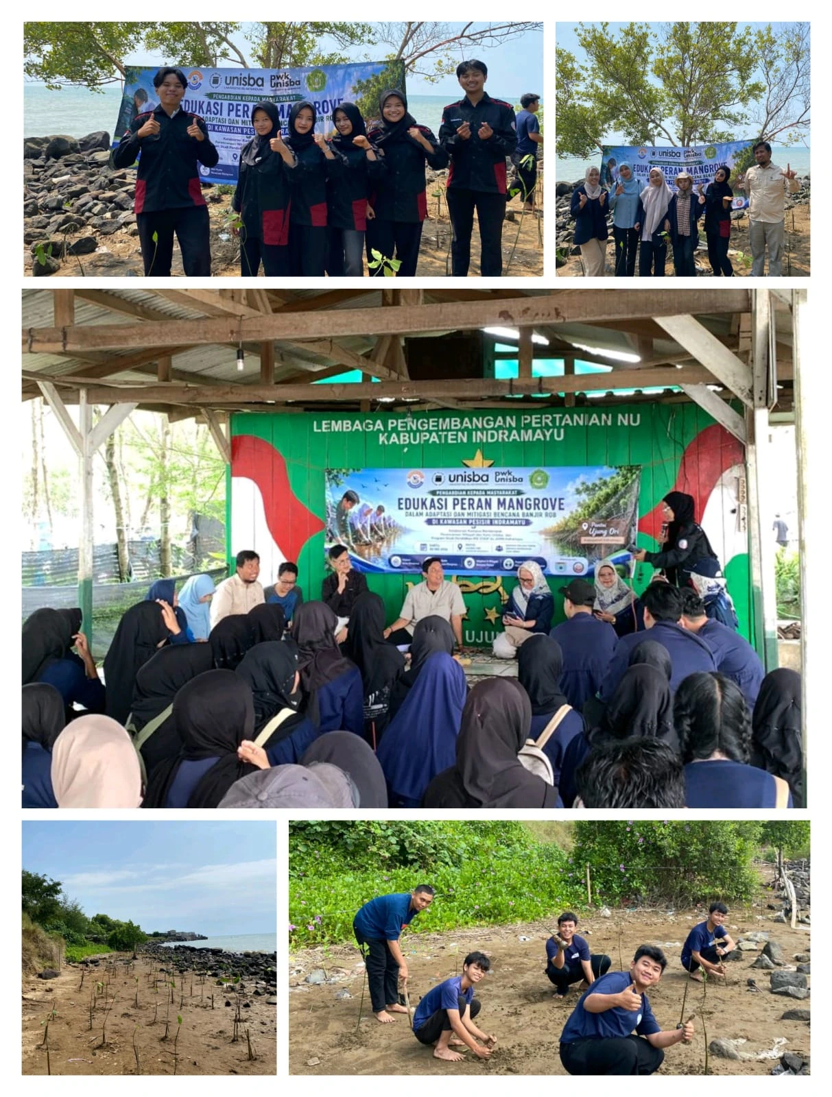 Edukasi Peran Mangrove Dalam Adaptasi dan Mitigasi Bencana Banjir Rob Di Kawasan Pesisir Indramayu
